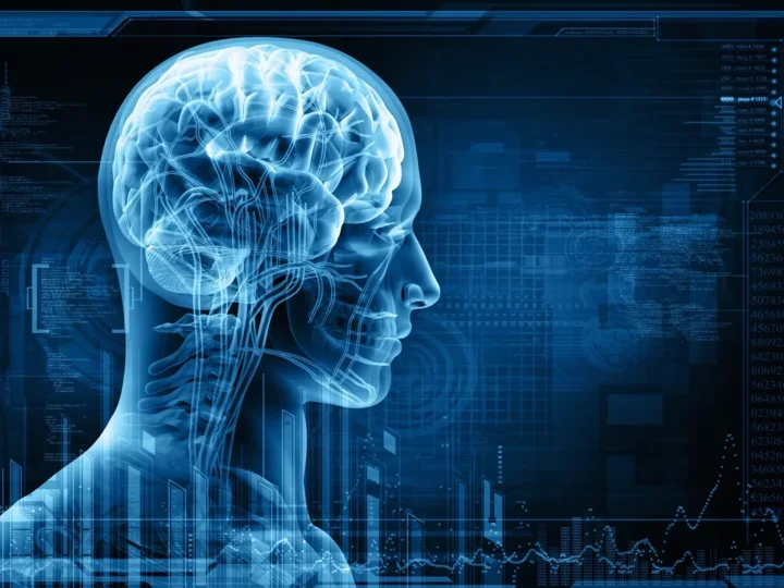  A rendering of a transparent human head showing detailed brain and nervous system structures against a blue background.